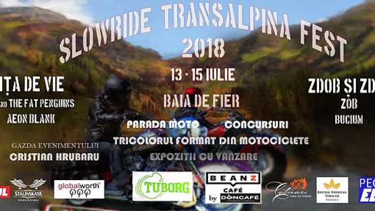 afis_festival_66879900