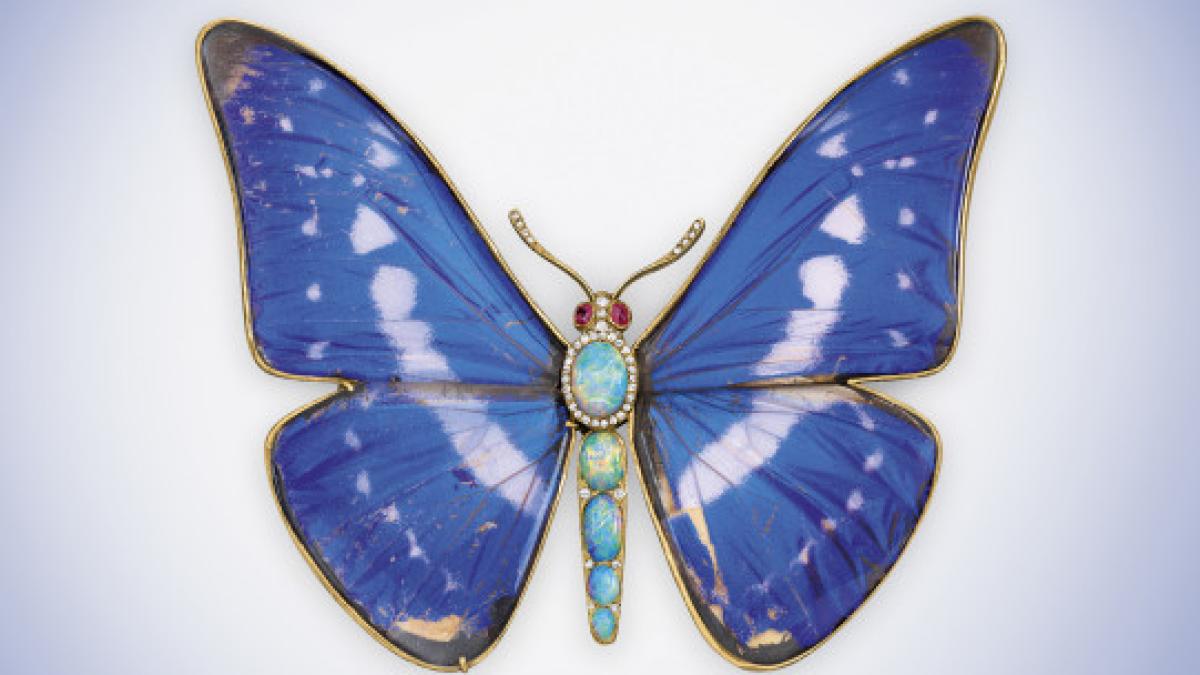 ernst_paltscho__brosa_in_forma_de___fluture_98012100