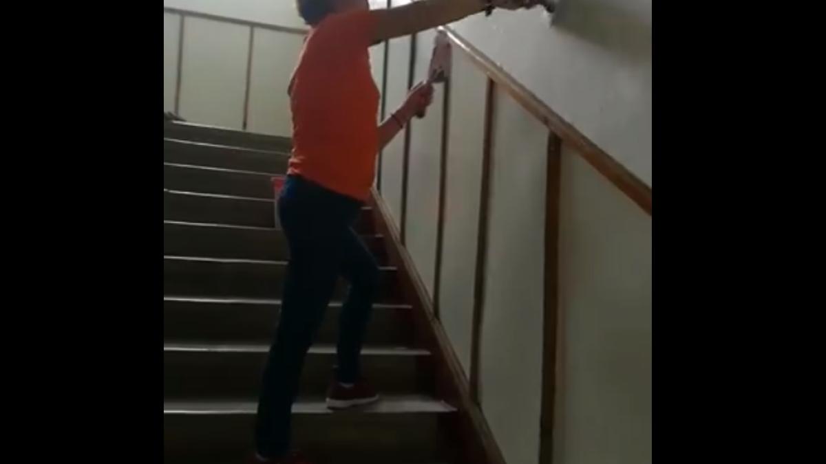 directoare_zugraveste_scoala_45102700