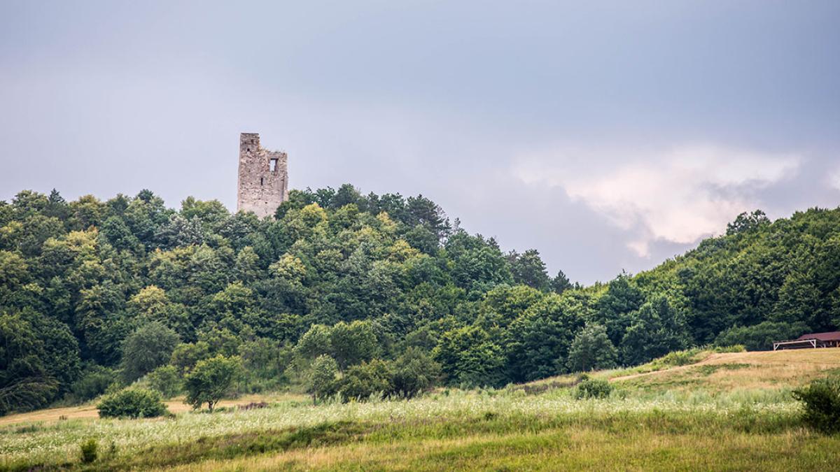 almasul_mic_89008200