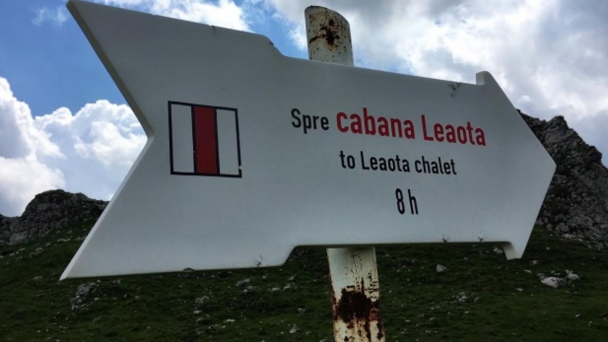 saua_strunga_leoata_723x347_c_70573000