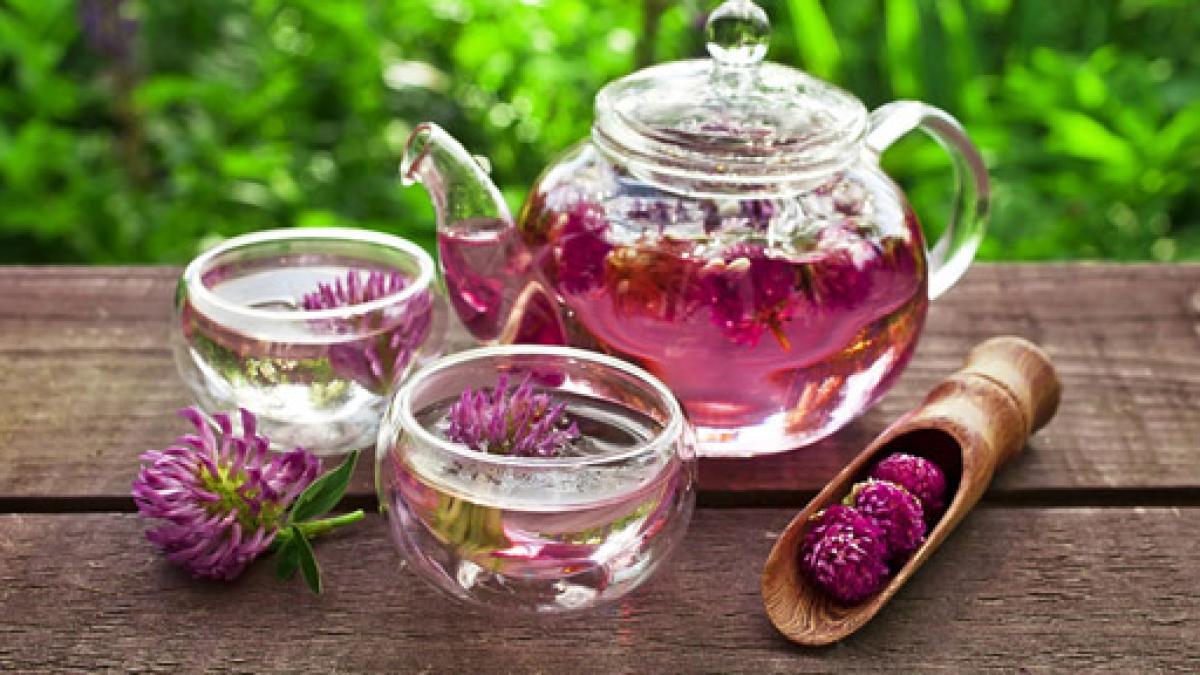 trifoi_rosu_97750000