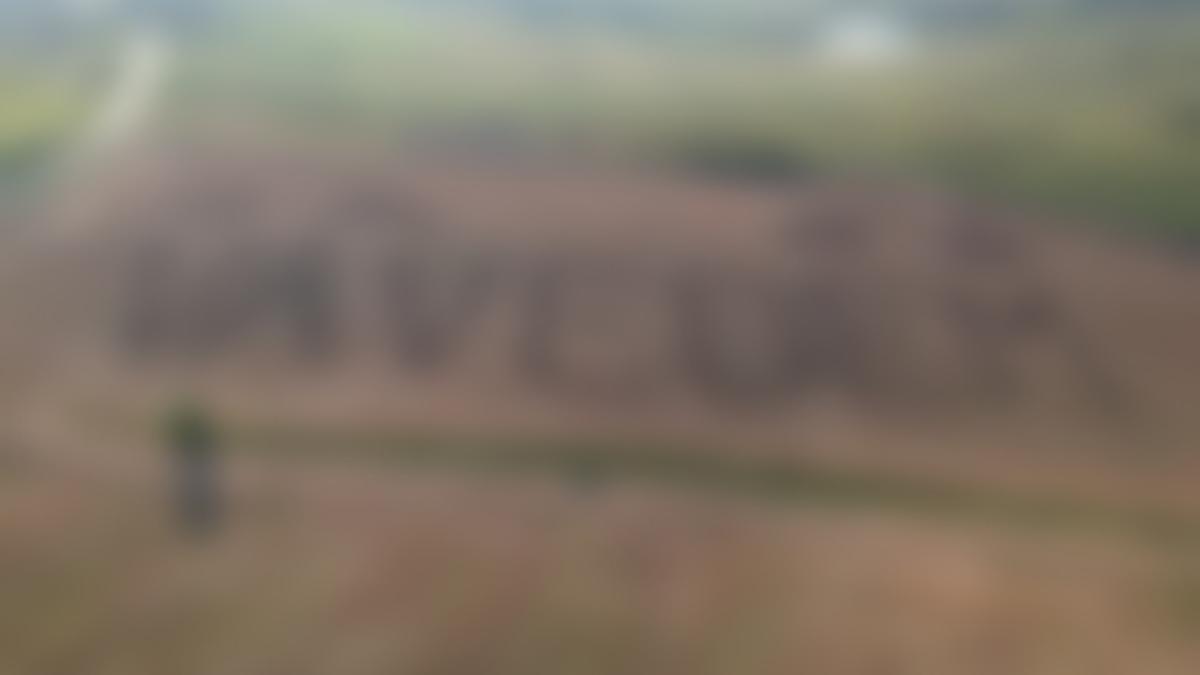 va_vedeeeem_11692000