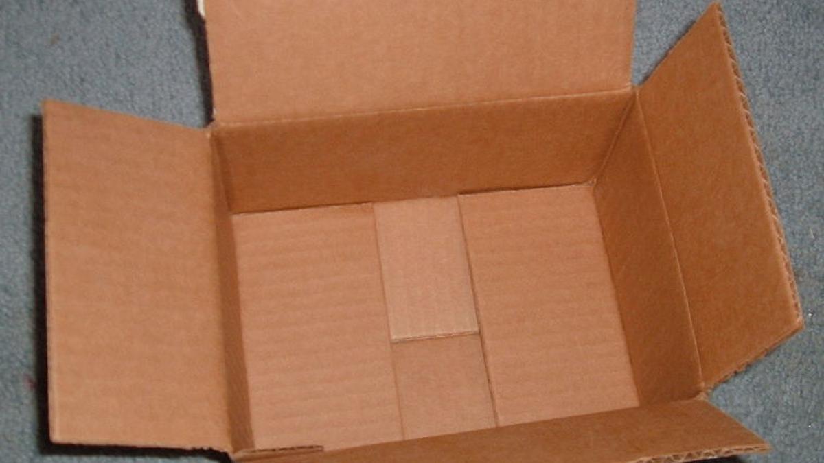 cutie_goala_55657900