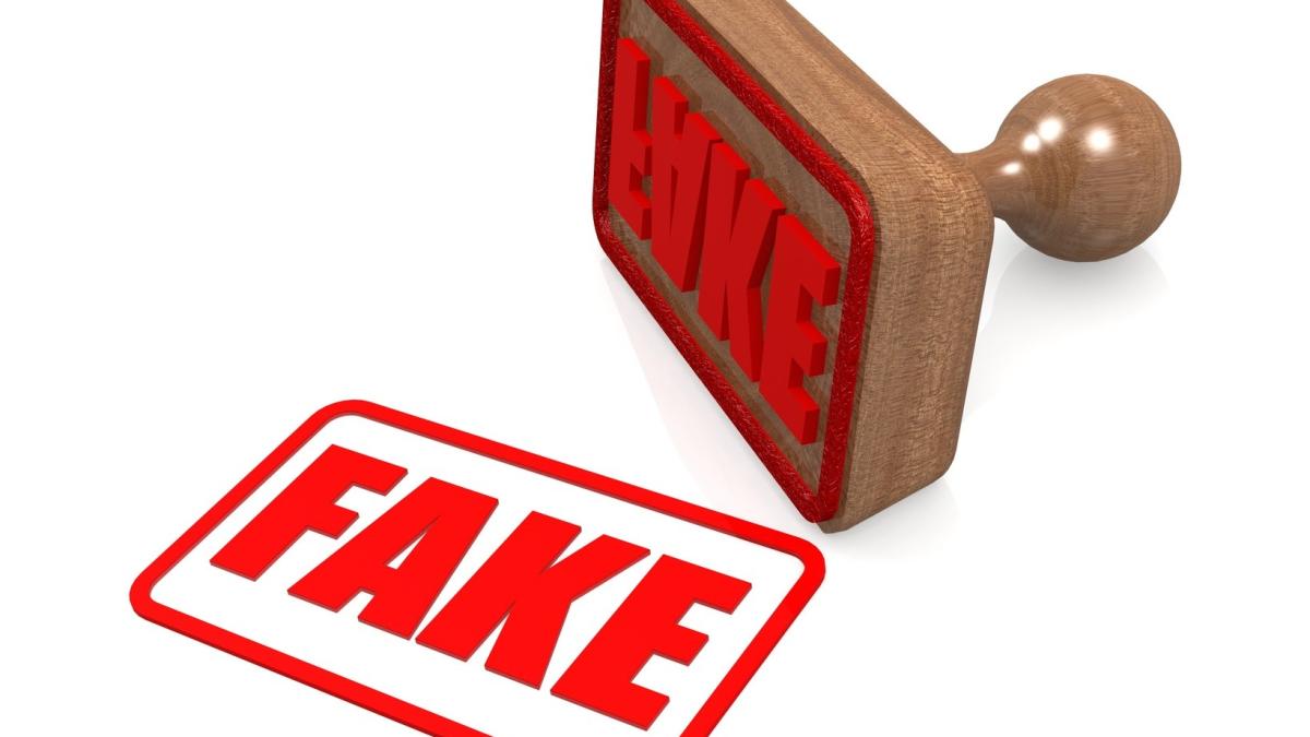 fake_24159700