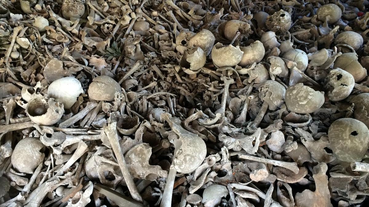 schelete_ramasite_32124700