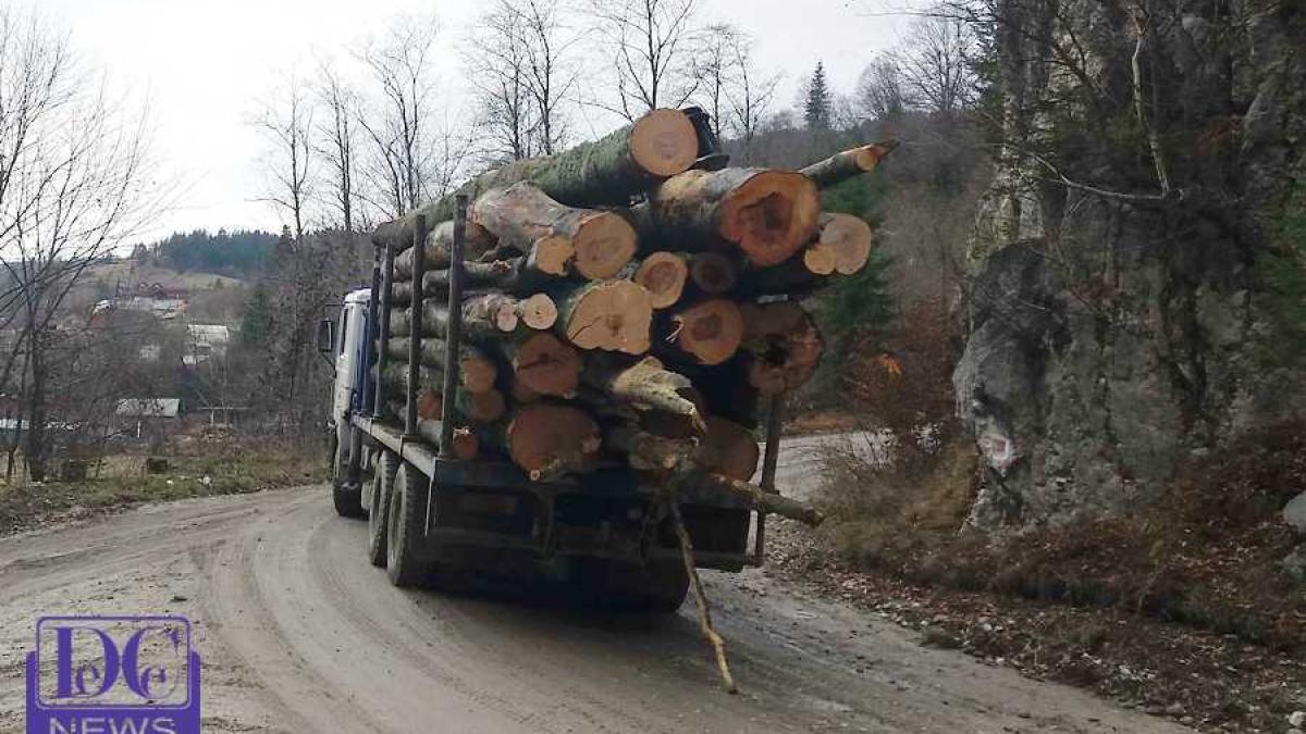 camion_lemne_padure_07740900