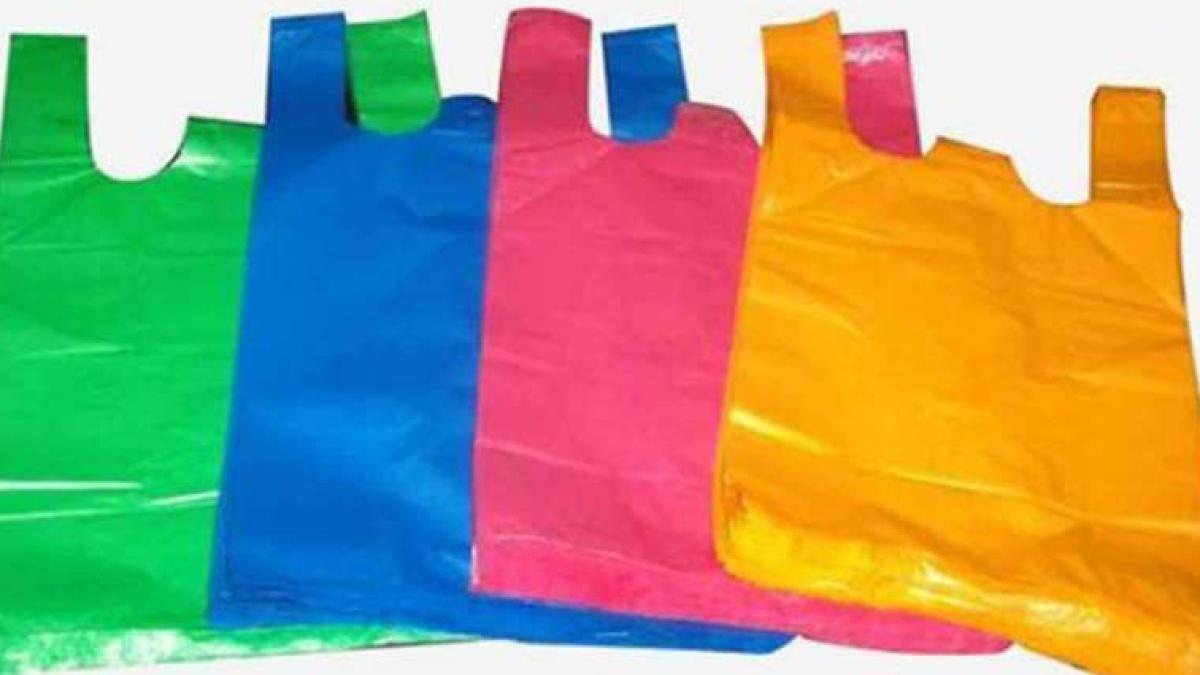 pungiplastic_53782800