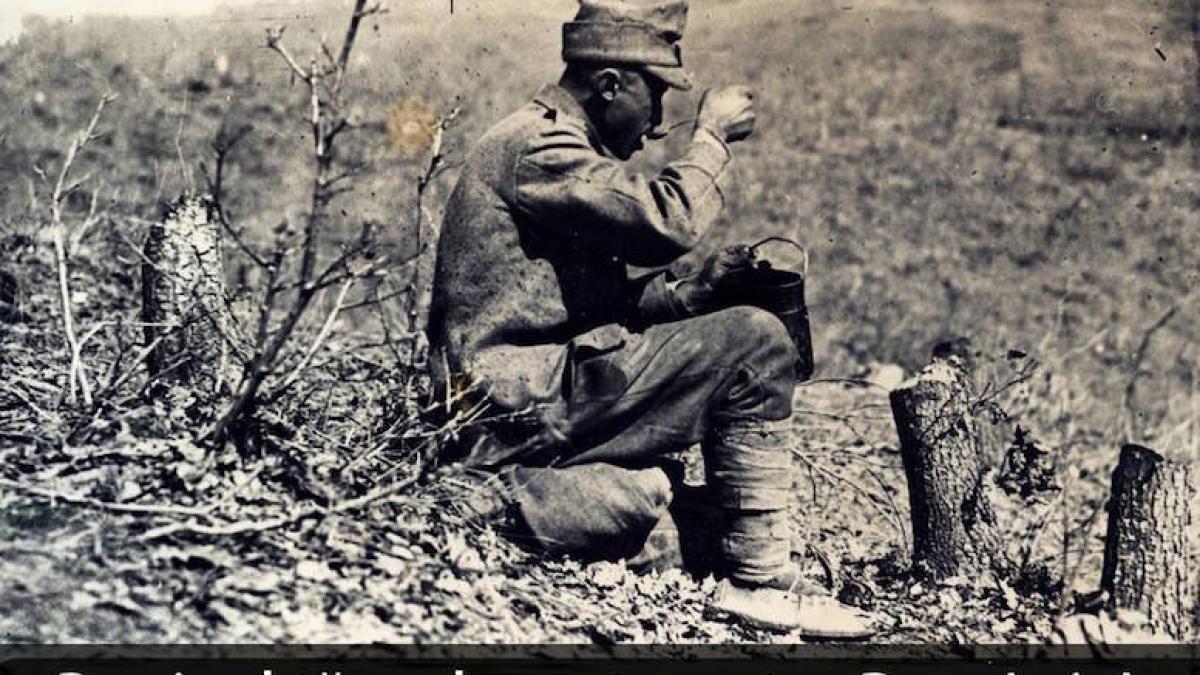 marasesti_6_august_40008300