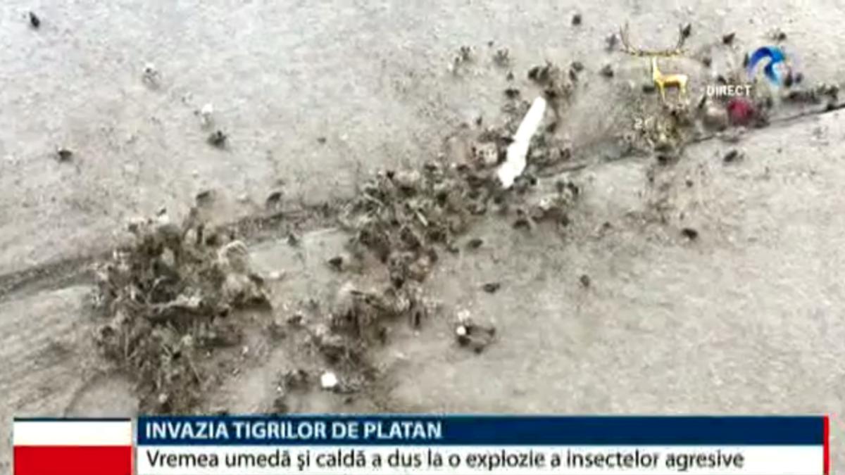 screen_shot_2018_08_06_at_11_11_53_pm_53464000