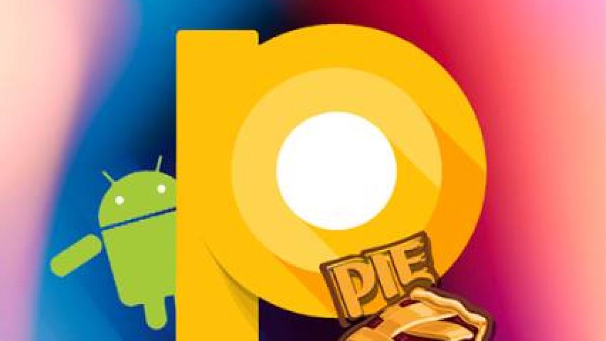 38624366_2394975623877385_4064741939239452672_n_93557600