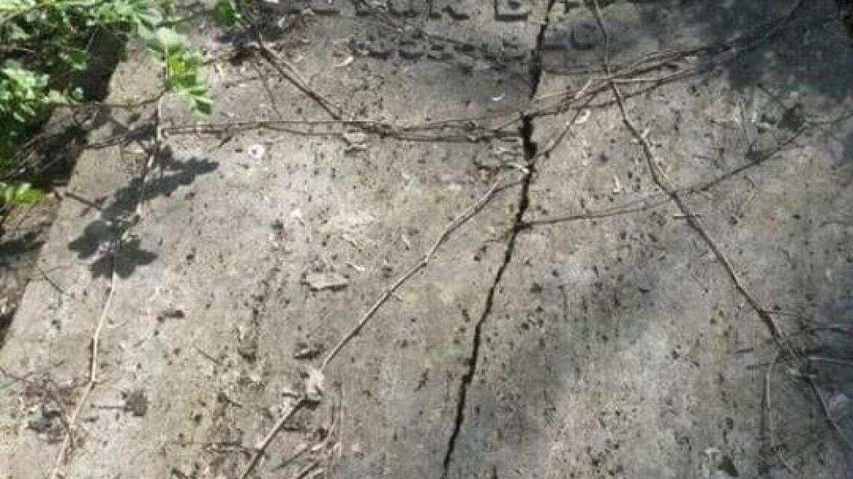 35970727_1704756389560655_8605867421724573696_n_40391200