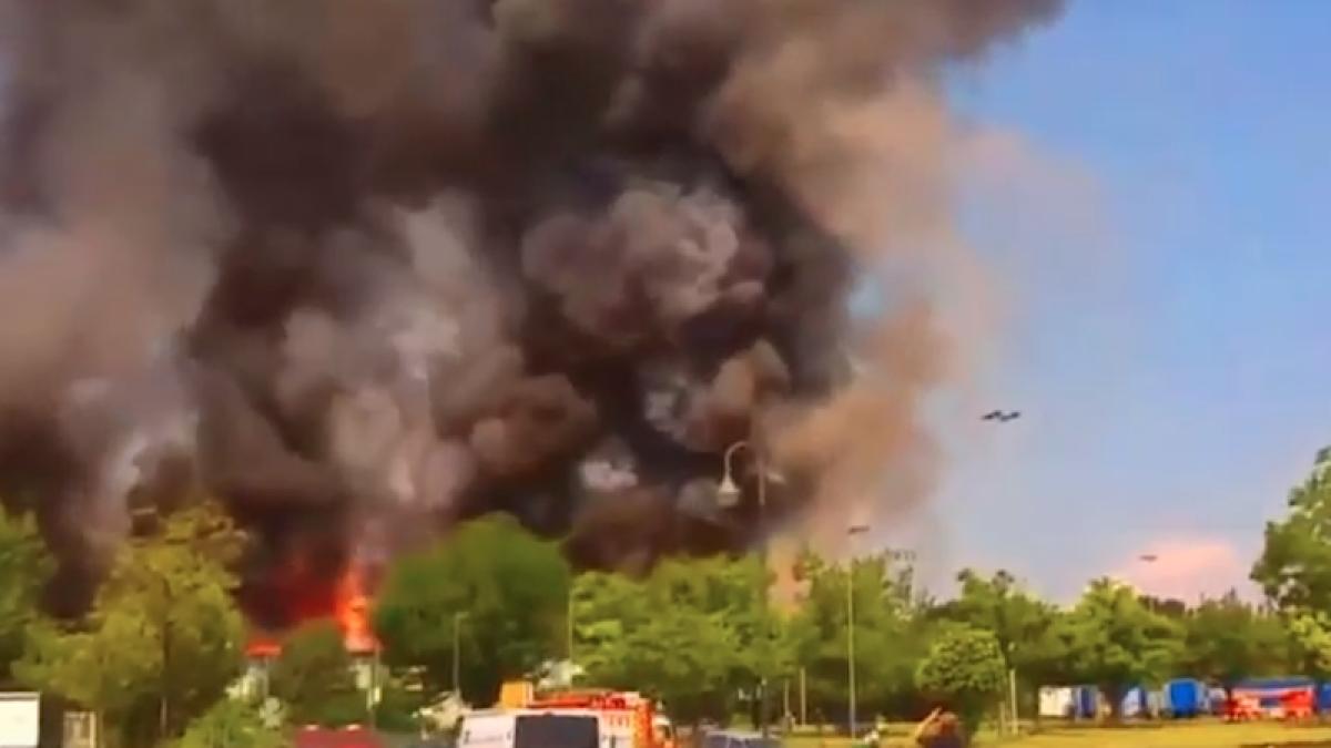 foc_imigranti_16911800