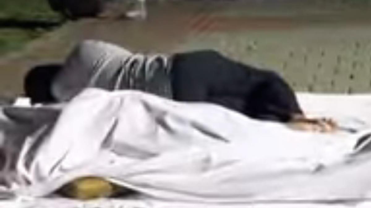 evacuati_indonezia_81172400