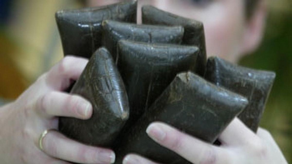 perchezitii_droguri_trafic_provita_de_sus_92038300