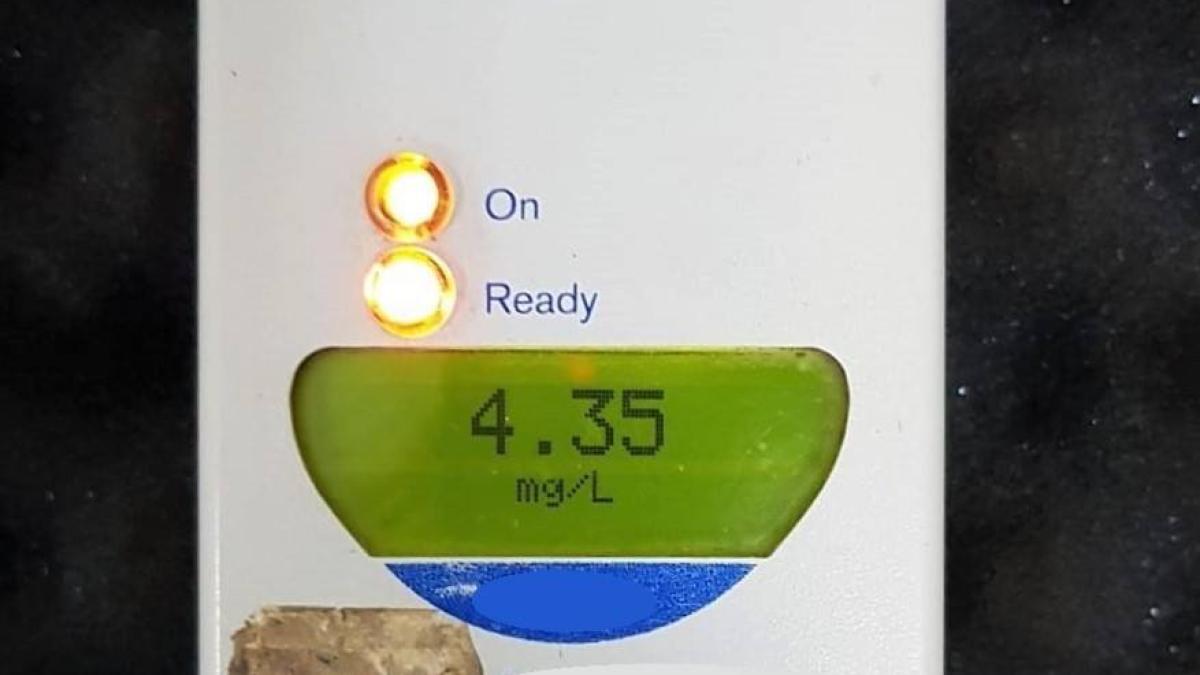 beat_pe_bicicleta_36151900