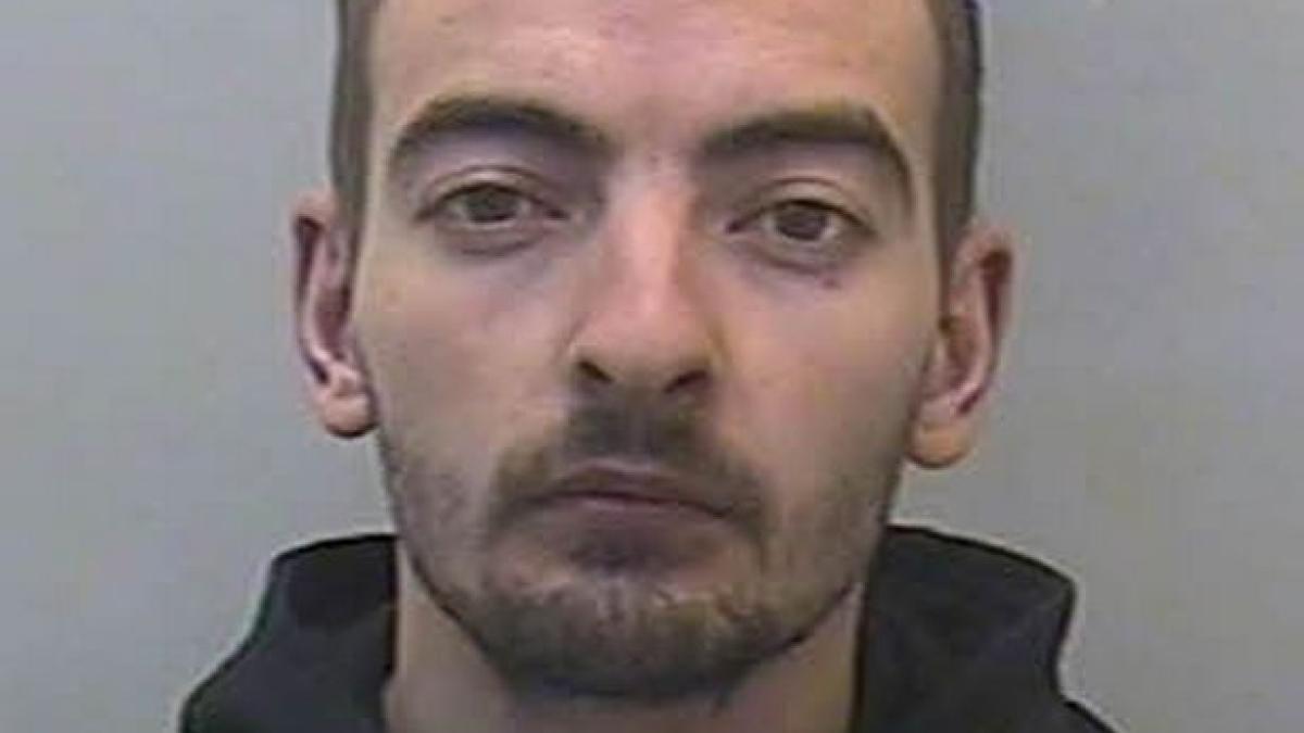 0_rosca_mihaita_020692_35319600