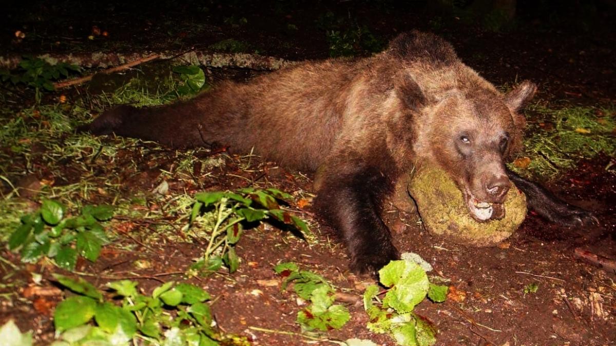 urs_tusnad20august_86692100