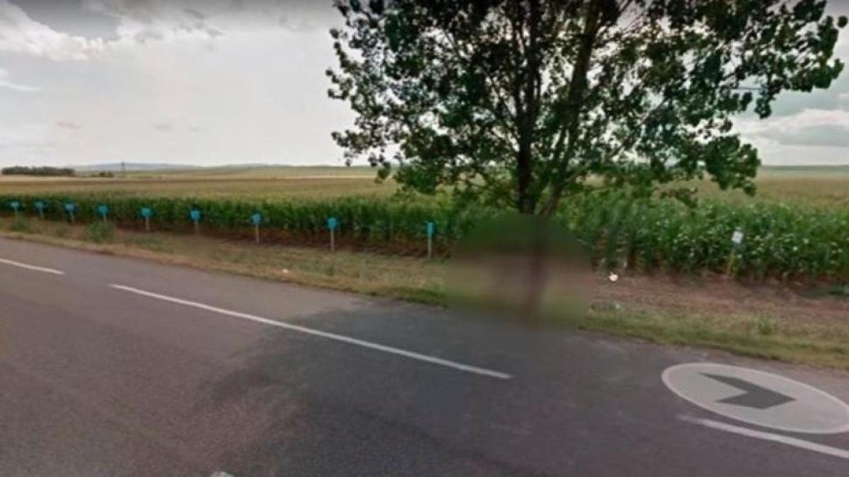 google_maps_1_1_crop1534813037140_jpg_1734428432_87228600