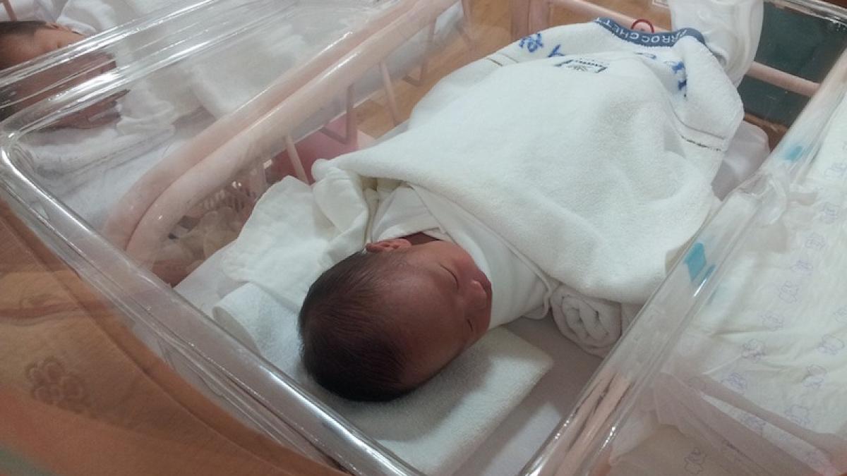 bebelus_asiatic_07699100