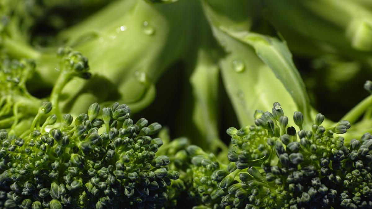 broccoli_18193000