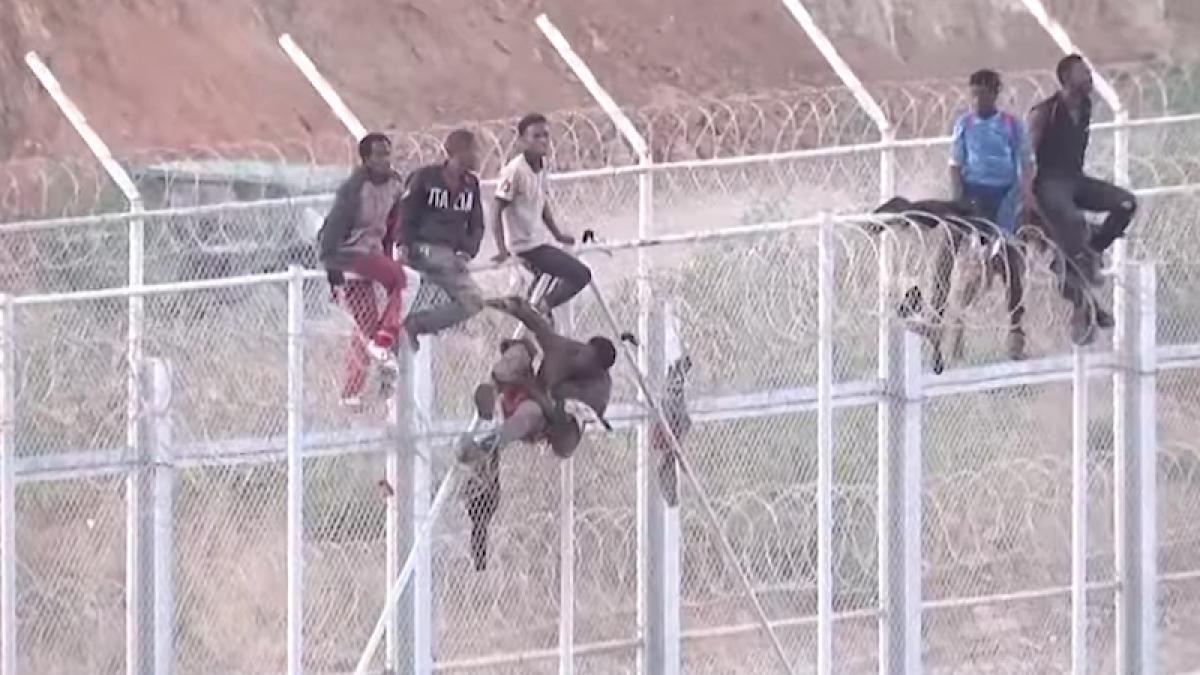 migranti_imigranti_gard_90204000