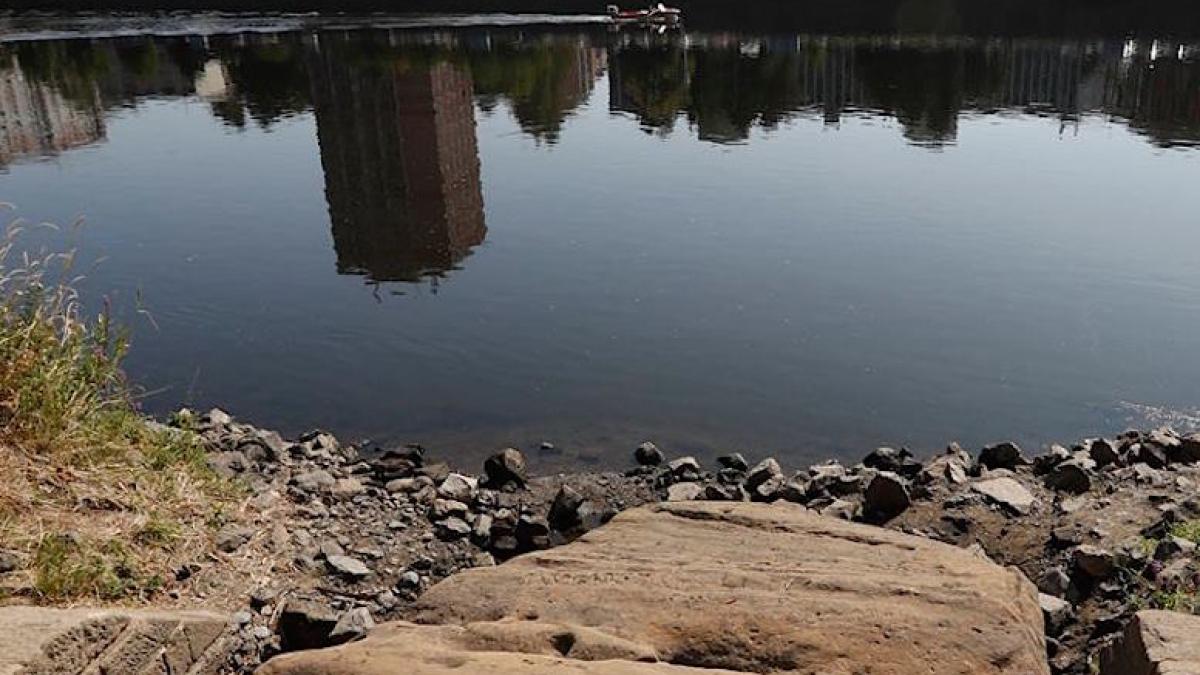 decin_bolovani_seceta_47551400