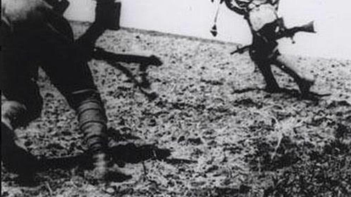 screen_shot_2018_08_23_at_5_12_03_pm_37084400