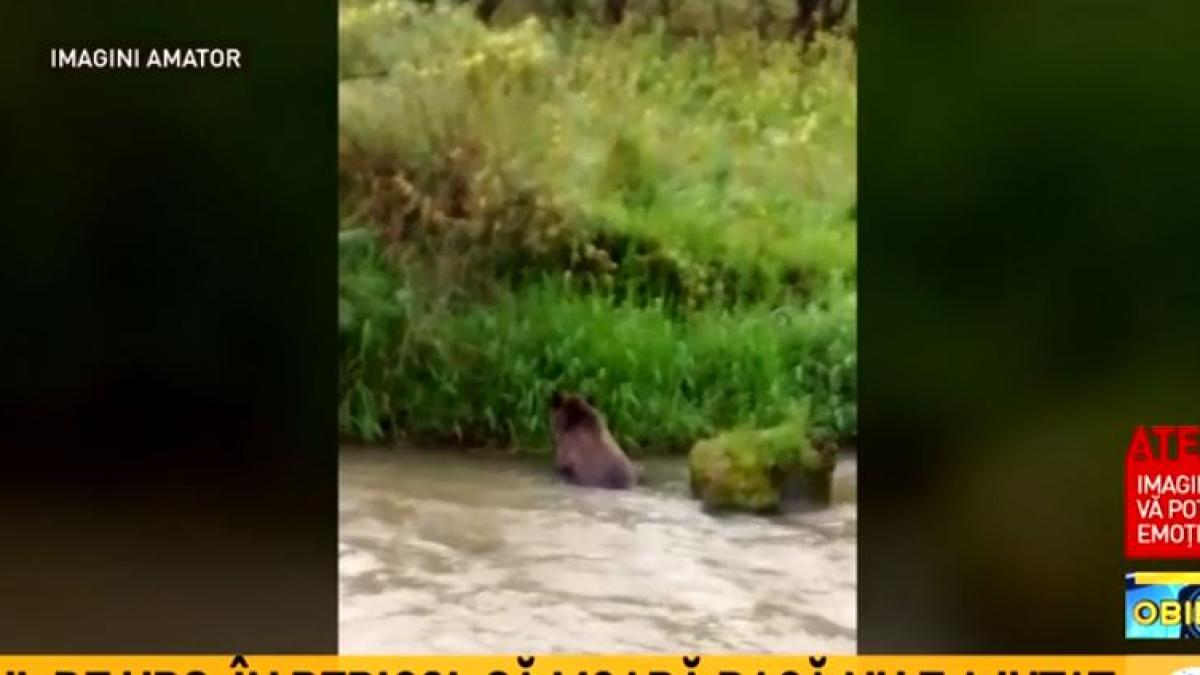 urs_captura_a3_78493800