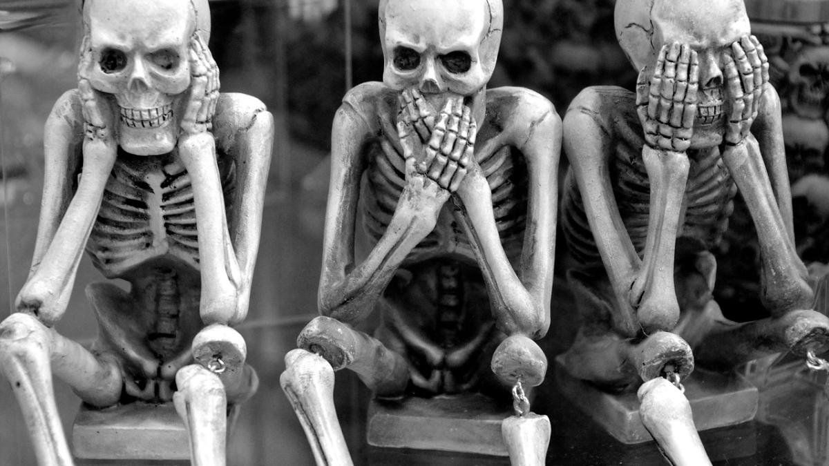 schelet_oase_74321000