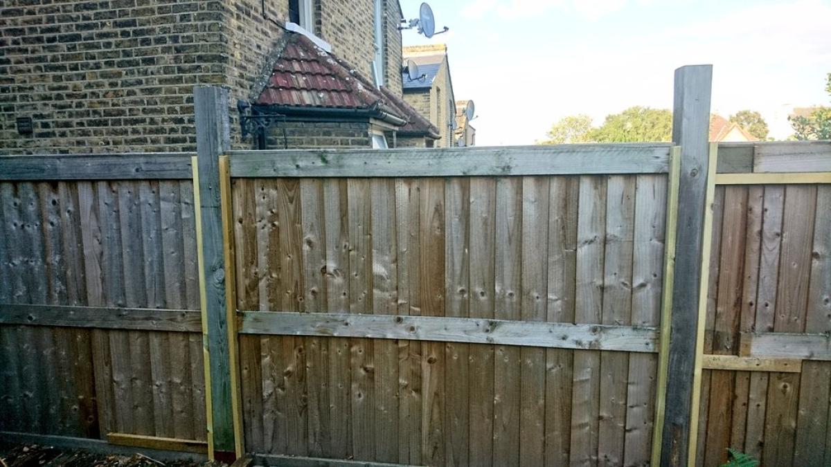 familie_romani_londra_gard_86490300