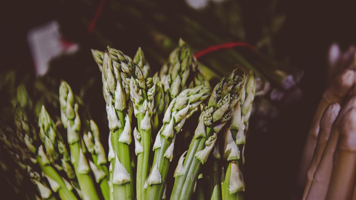 asparagus_19933100