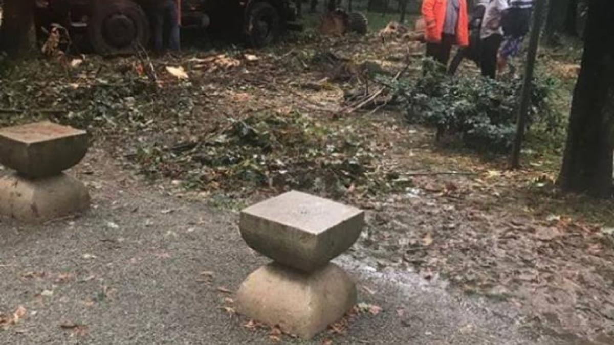 40875971_2148207635437970_4504021947209744384_n_10466200