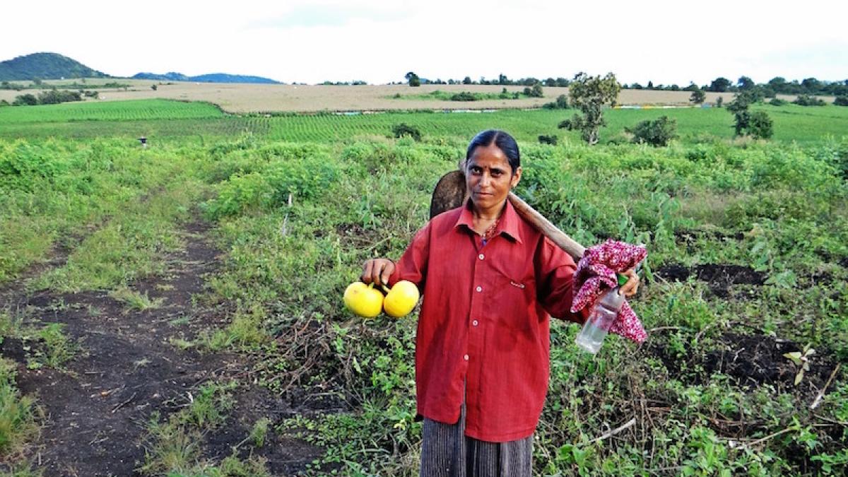 legume_muncitori_extraomunitari_27754800