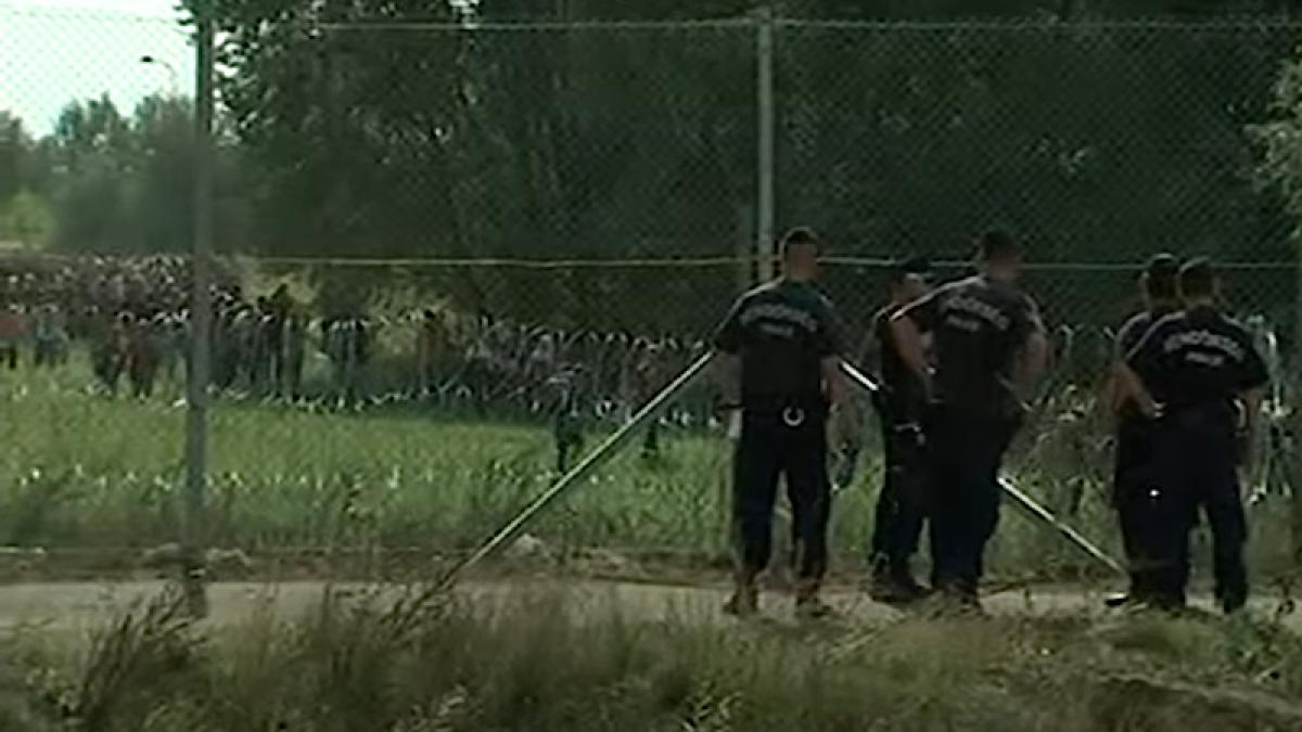 migranti_granita_gard_37249400