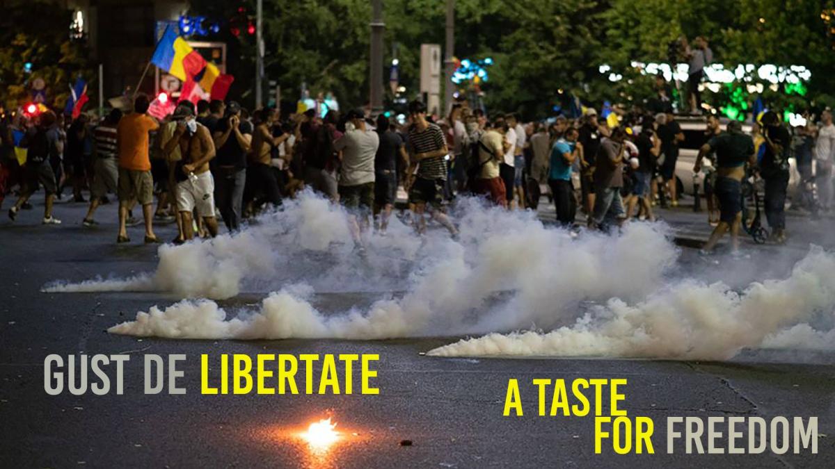 protest nou pia a victoriei davide martello prezen a anun ata