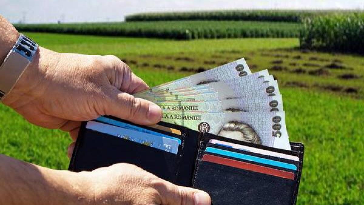 13524421_920569171422887_7644455765395218588_n_67648500