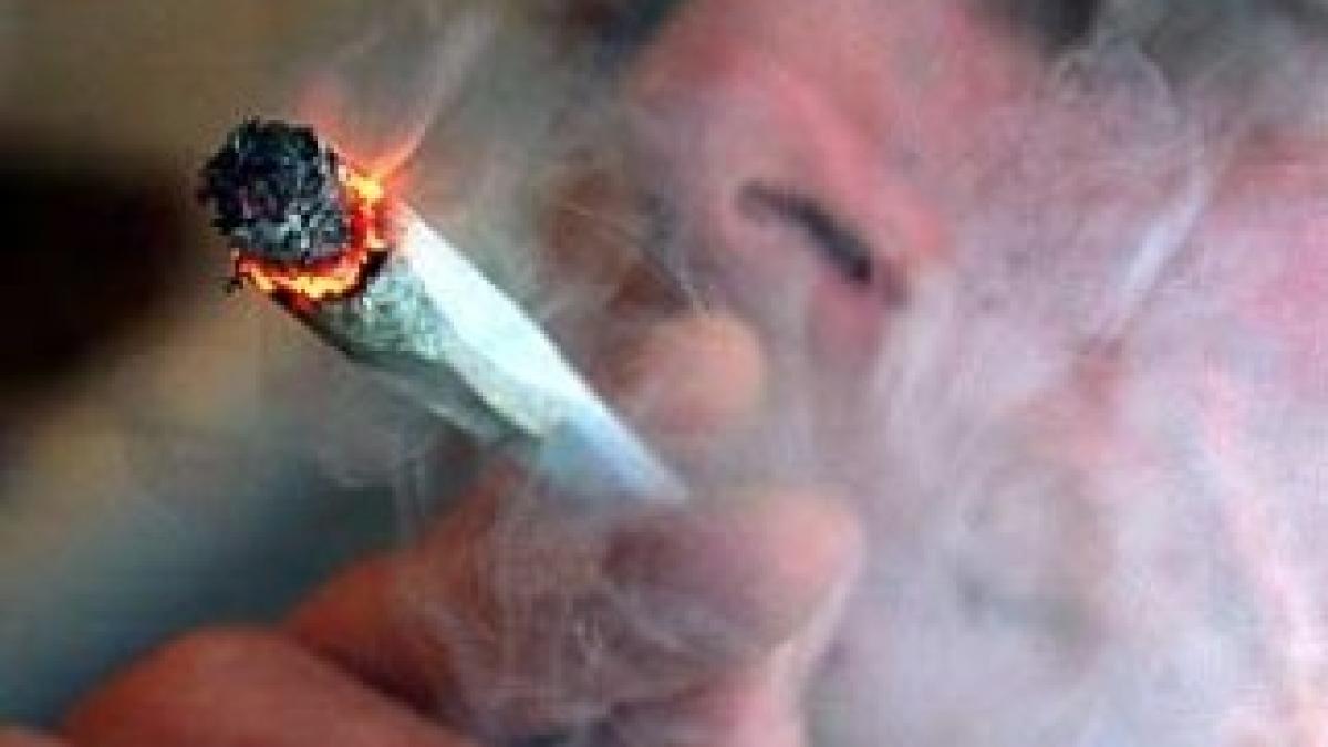 cannabis-smoking-joint