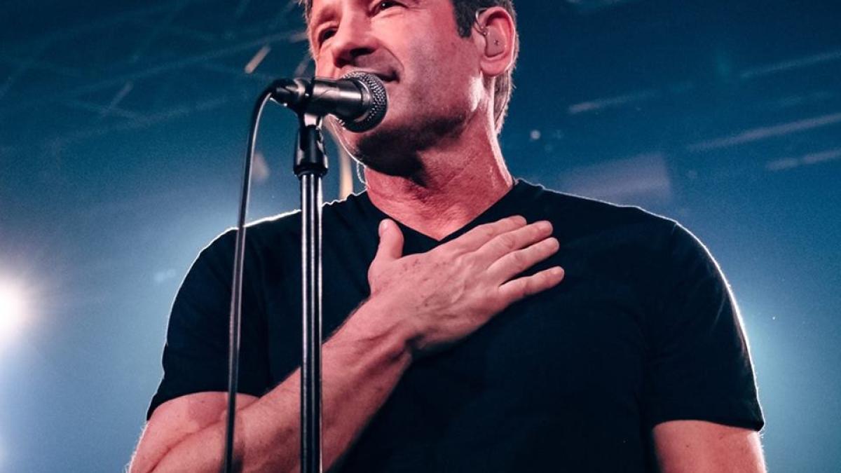 david_duchovny_31836300