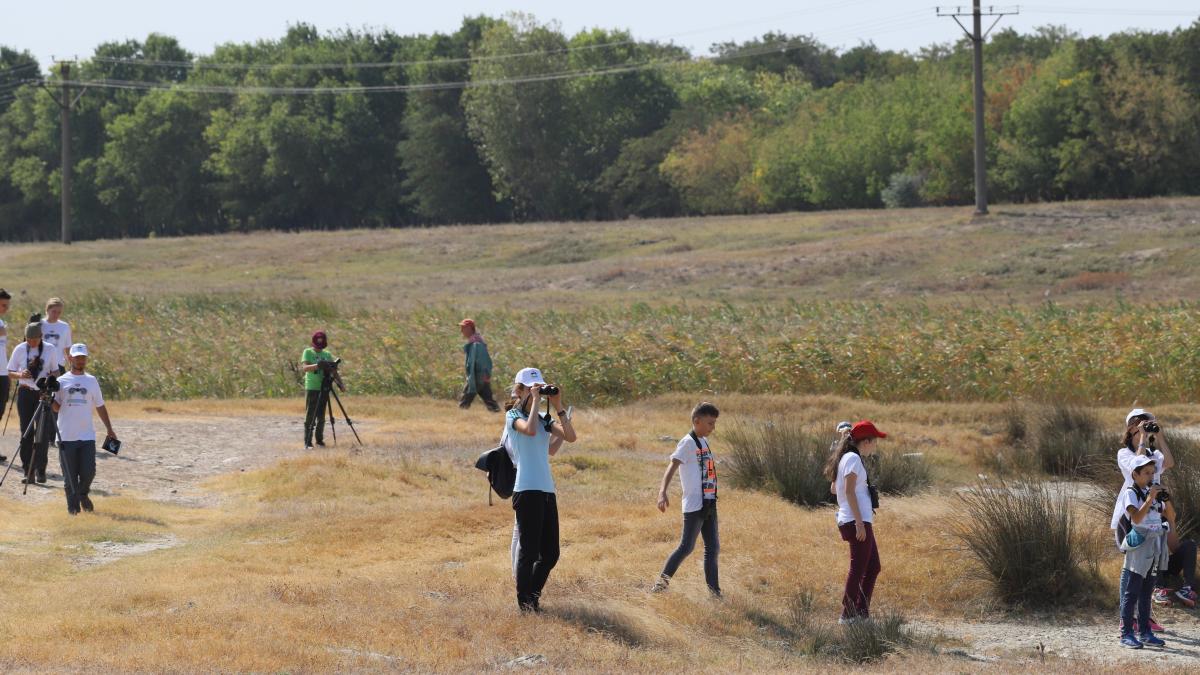 vadu_pasari_septembrie_87234500