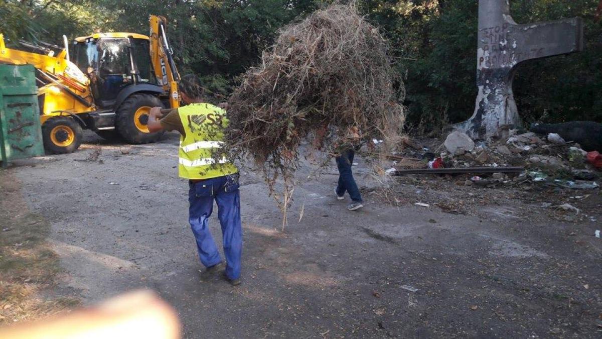 curatenie_sector_89435600