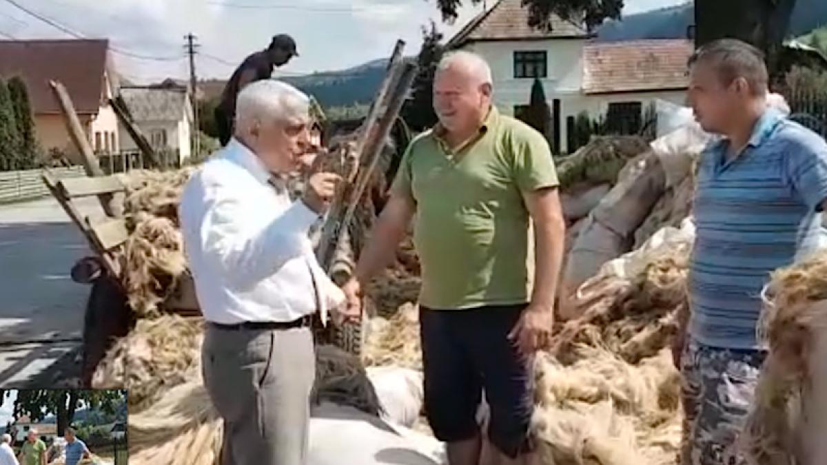 petre_daea_lana_02739300