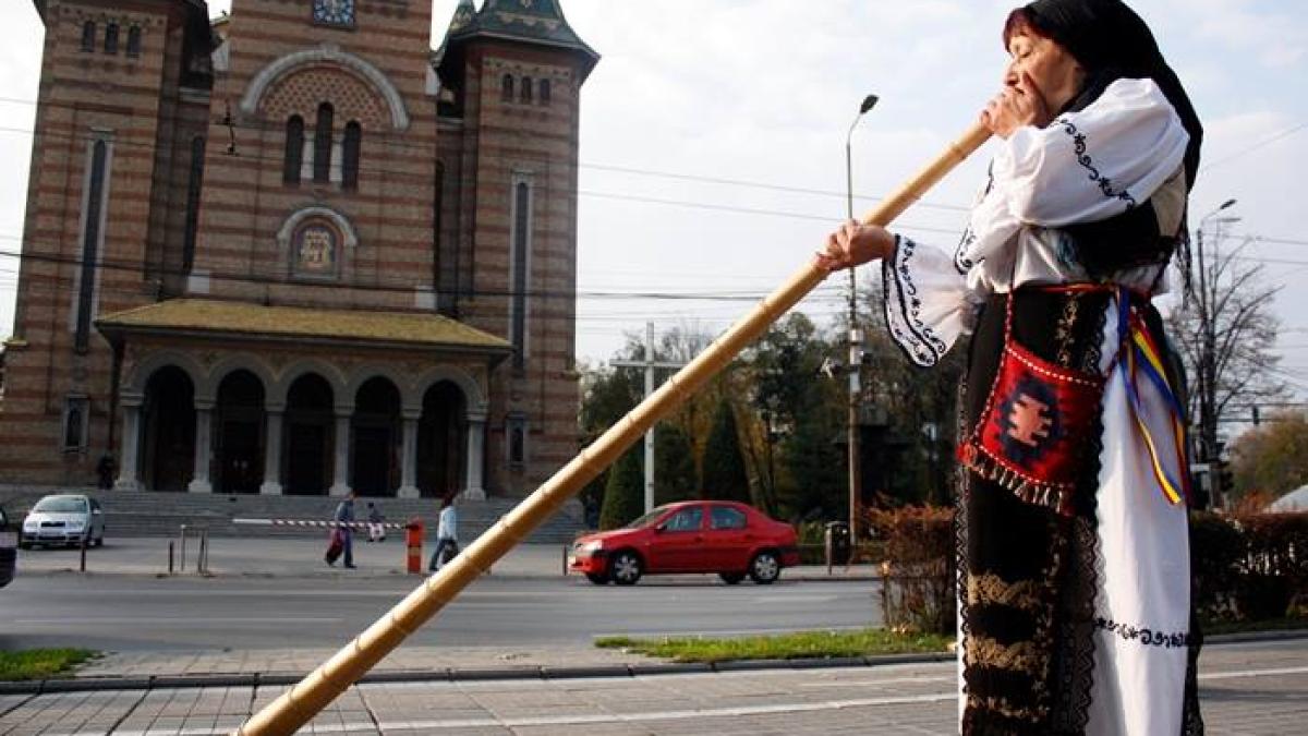 tulnicareasa_87708600