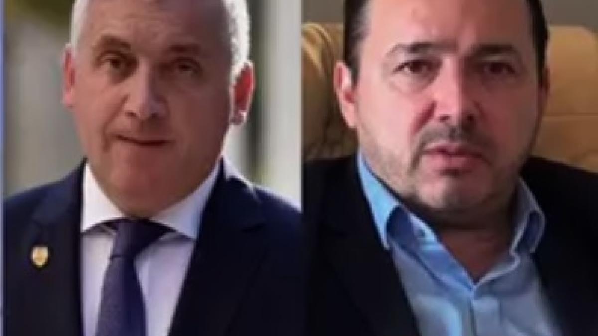 tutuianu_radulescu_86877600