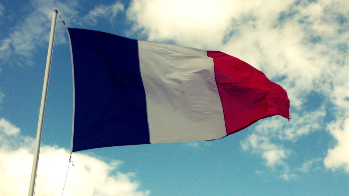 franta_steag_55984300