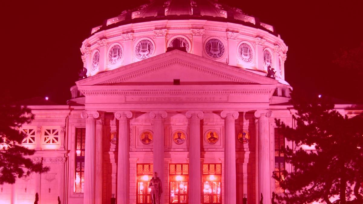 atenteul-roman-roz_55164300