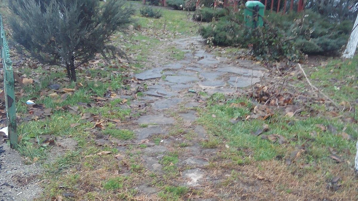 rond_cosbuc_27520900