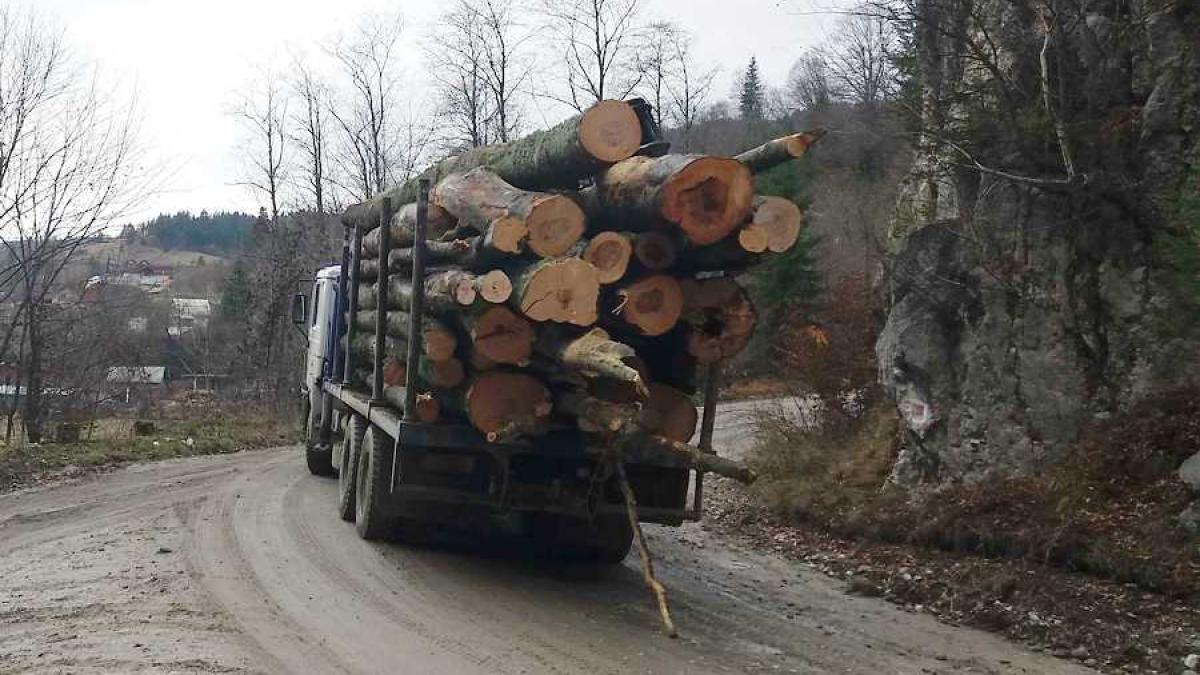 camion_lemne_padure_35040200