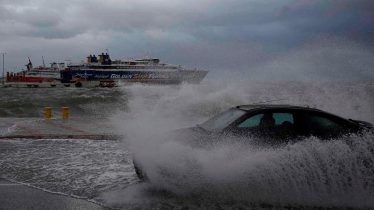 42852342_469168860155603_2922087545363759104_n_25139400