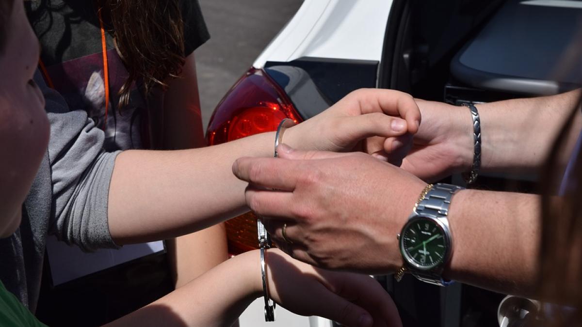 arestat_feneie_politie_catuse_72529800